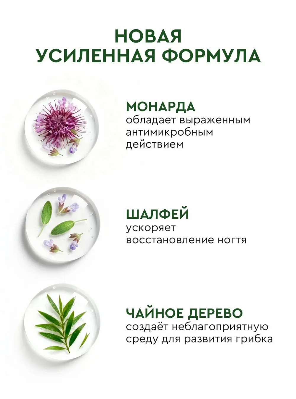 Сыворотка реген стоп онихолизис Монарда, Шалфей, Чайное дерево, 30 мл.